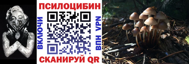 блэк спрут маркетплейс  Кирс  Псилоцибиновые грибы Magic Shrooms 