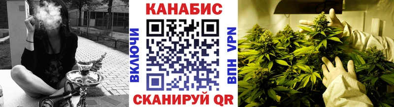 Бошки Шишки ГИДРОПОН  Кирс 